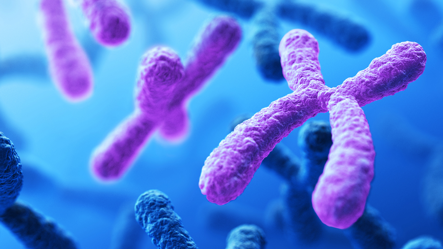 Molecular Genetics